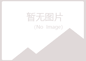 日照岚山平安能源有限公司